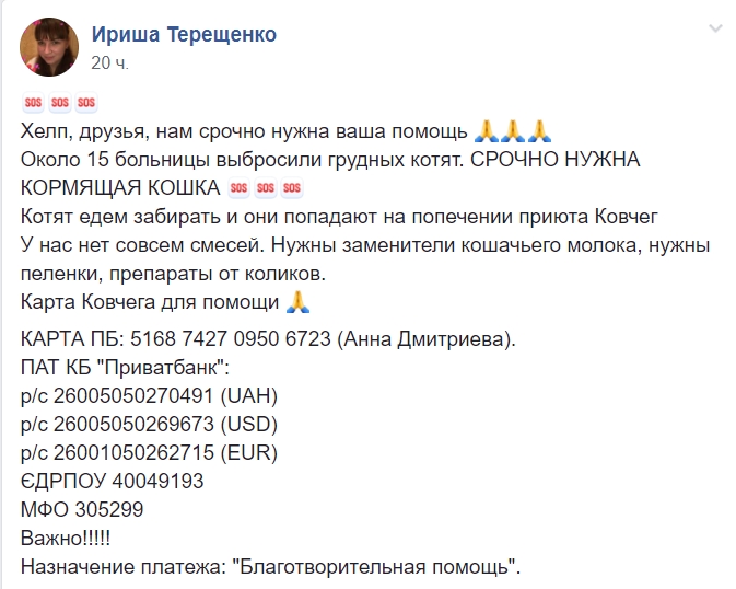 Люди сошли с ума: в Днепре изверг выбросил на свалку котят